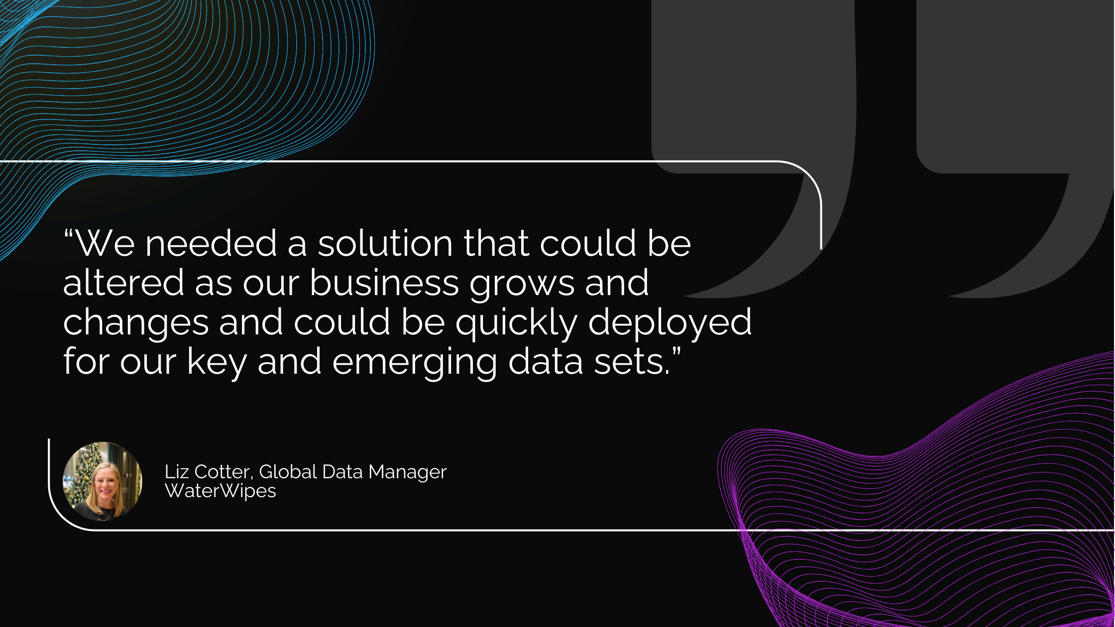 Liz solution quote